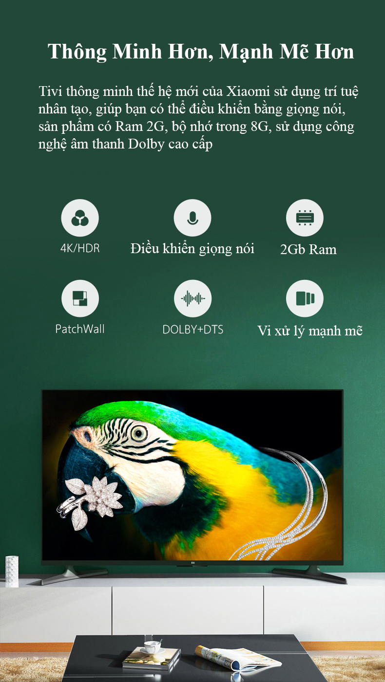 Tivi Thông Minh Xiaomi Mi TV4A 65-inch