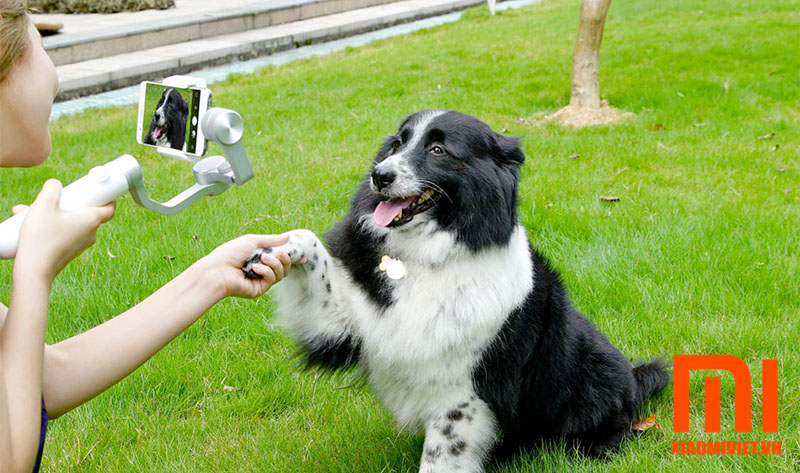 Gậy chống rung Xiaomi Mijia Smartphone Gimbal