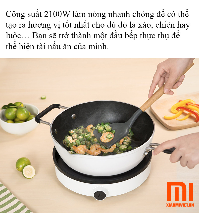 Bếp điện từ Xiaomi Mijia Youth Lite DCL002CM e