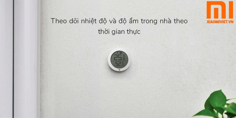 theo dõi thời gian thực