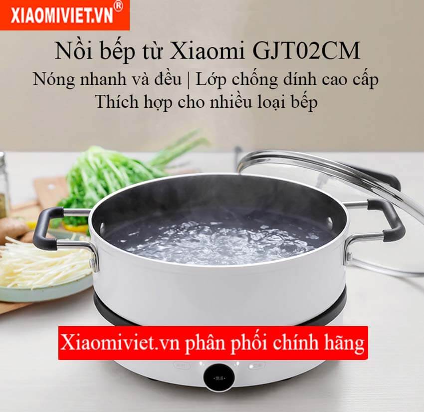 Nồi bếp từ Xiaomi GJT02CM