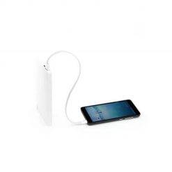 Cáp Micro ZMI 30cm (4)