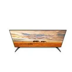 Xiaomi Mi TV4A 65-inch (4)