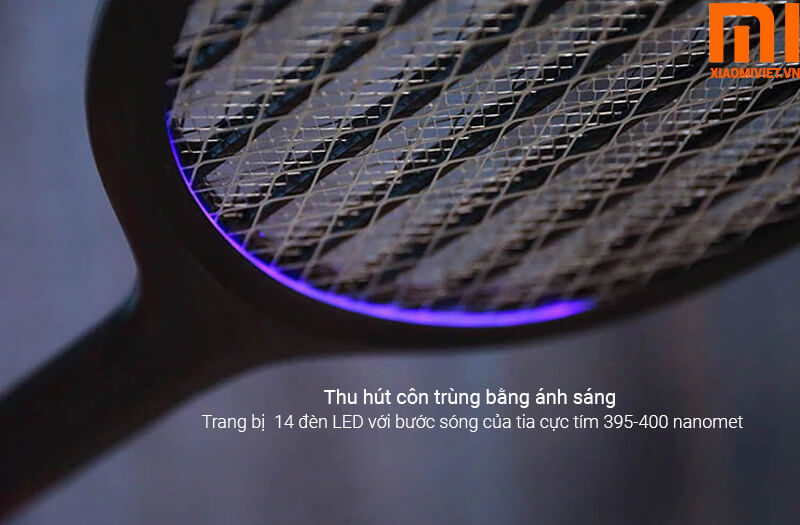 thu hút muỗi bằng ánh sáng