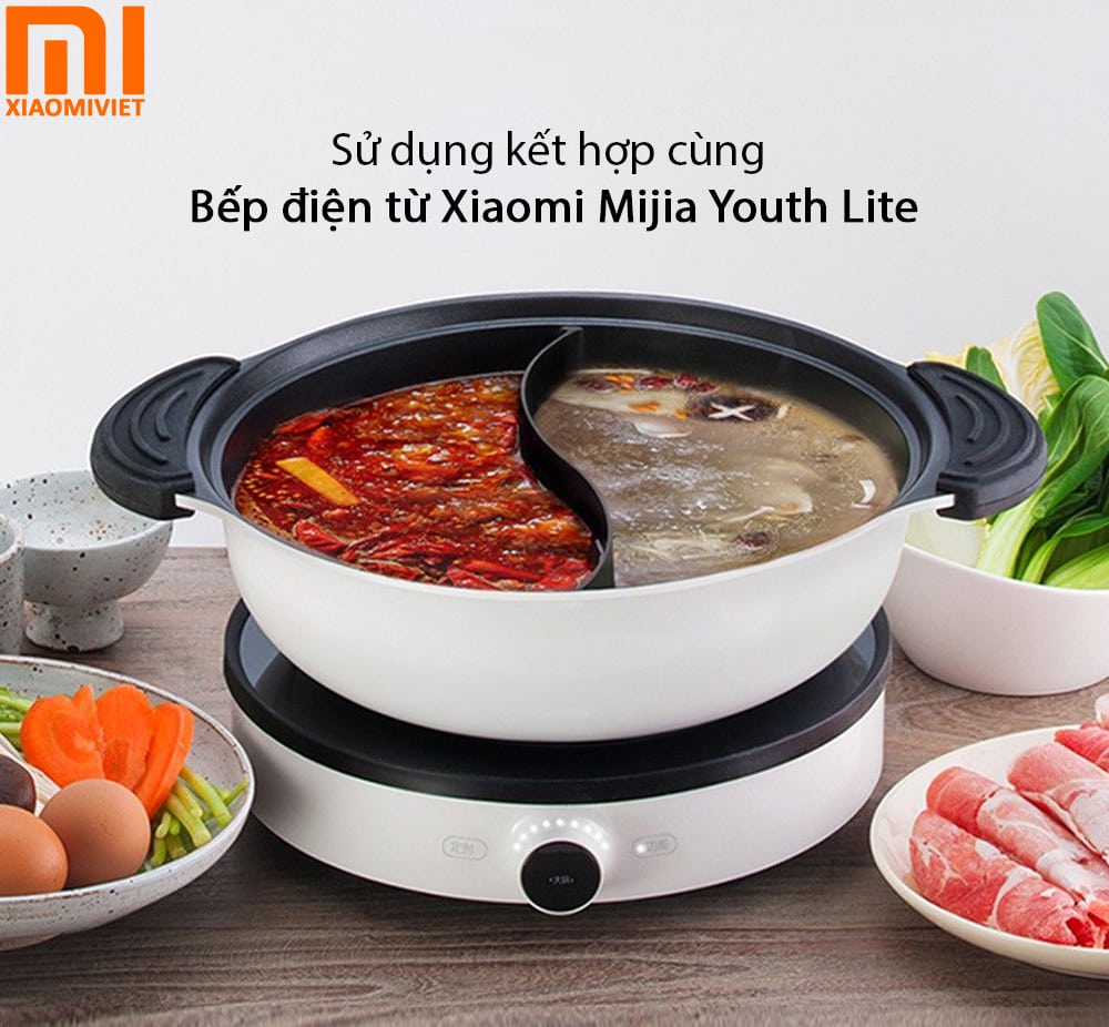 Xiaomi Mijia Youth Lite