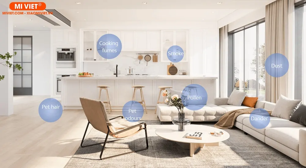 Lọc các khói bụi, vi khuẩn có hại trong không khí