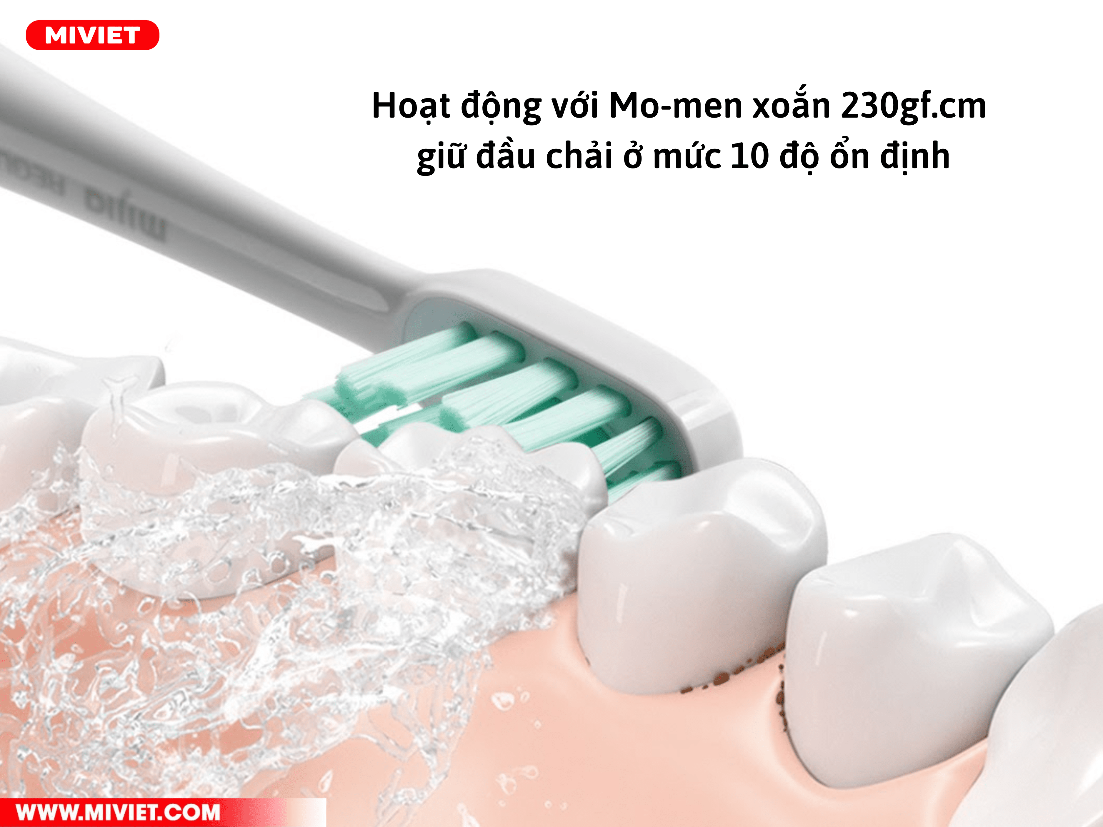 Động cơ mo-men xoắn 230gf.cm 