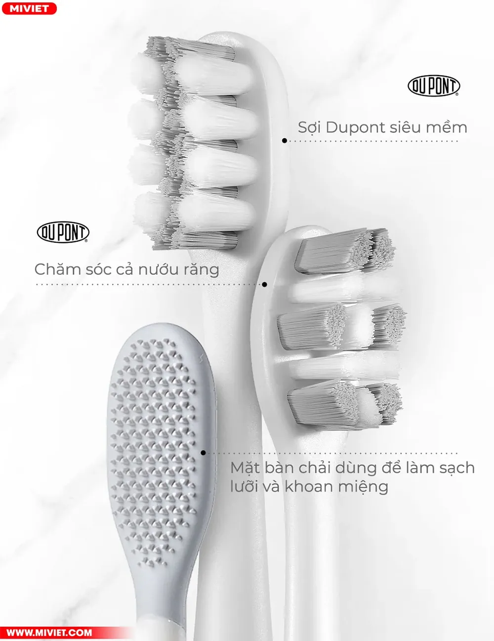 Làm sạch khoang miệng chỉnh chu, toàn diện