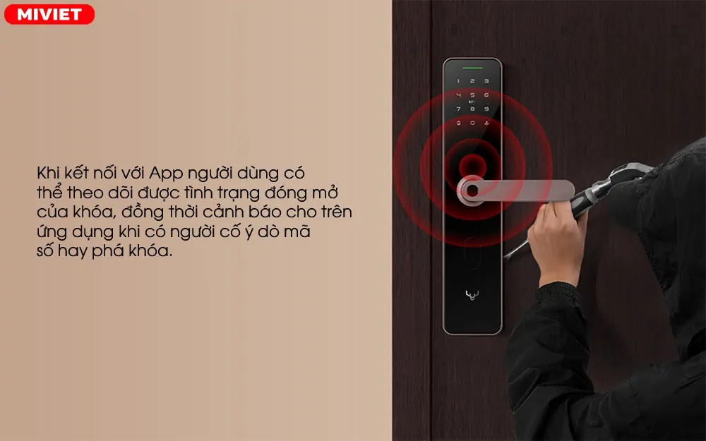 An toàn, tính bảo mật cao