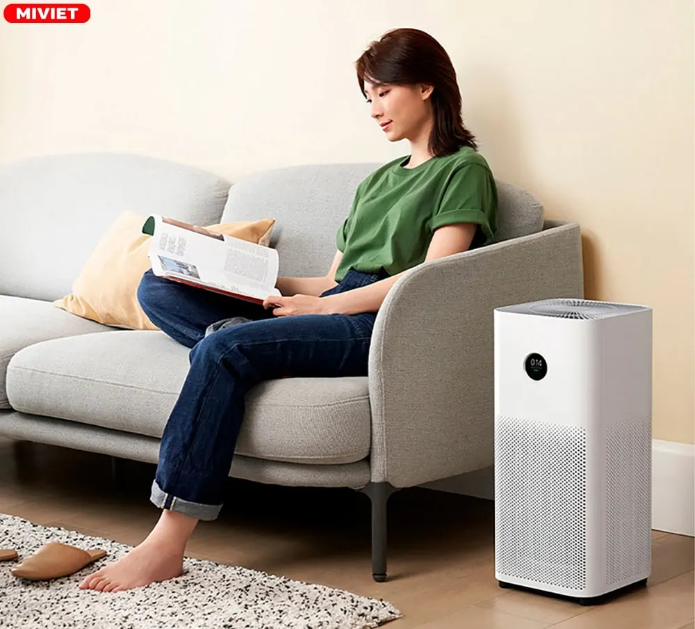 Nếu bạn là một người mẫn cảm với phấn hoa thì máy lọc không khí sẽ là sự lựa chọn rất phù hợp