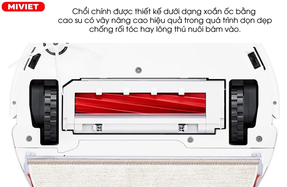 Chổi chính chống rối