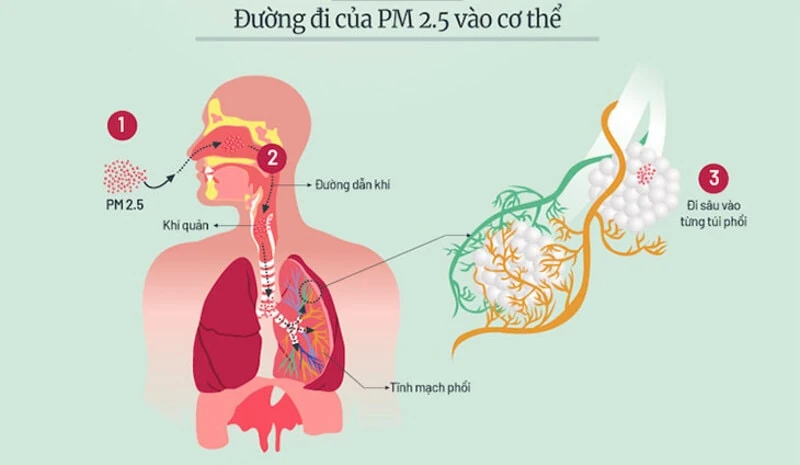 Tác hại của bụi mịn