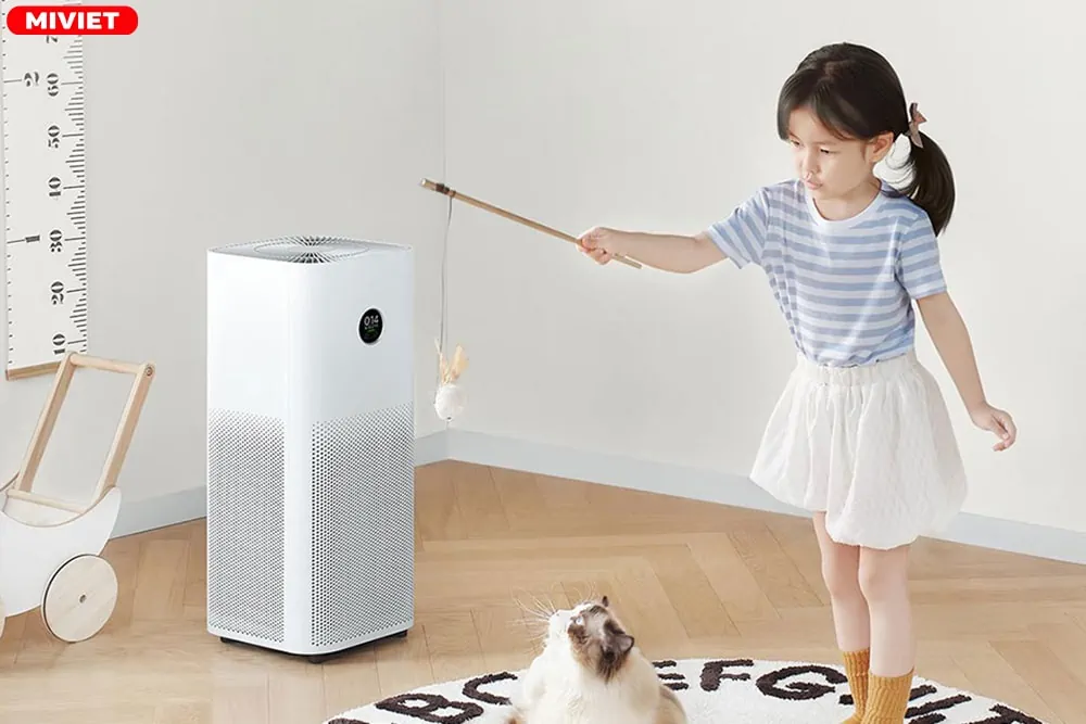 Cách chọn máy lọc không khí theo diện tích như thế nào Cách chọn máy lọc không khí theo diện tích như thế nào