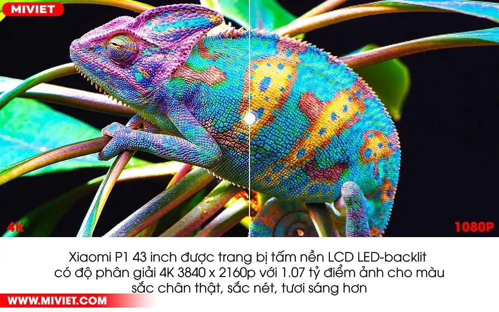 Độ phân giải 4K kết hợp với HDR 10+