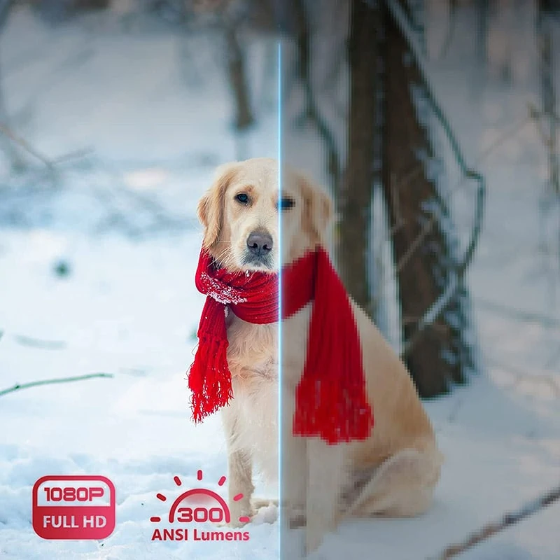 Máy chiếu Vimgo P10 Full HD - 2022 Vimgo P10 (1)