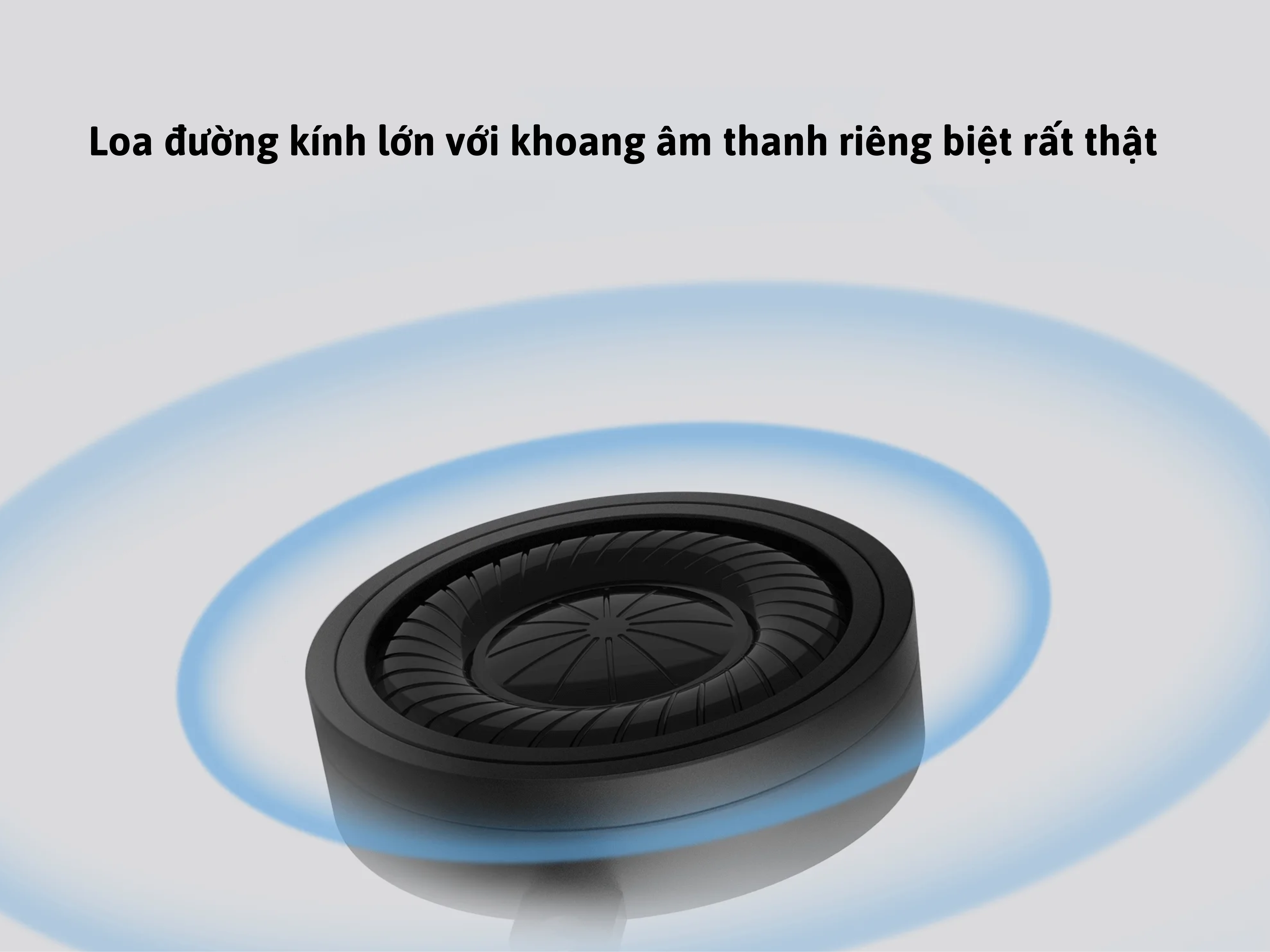 Loa có kích thước lớn, âm thanh chân thật