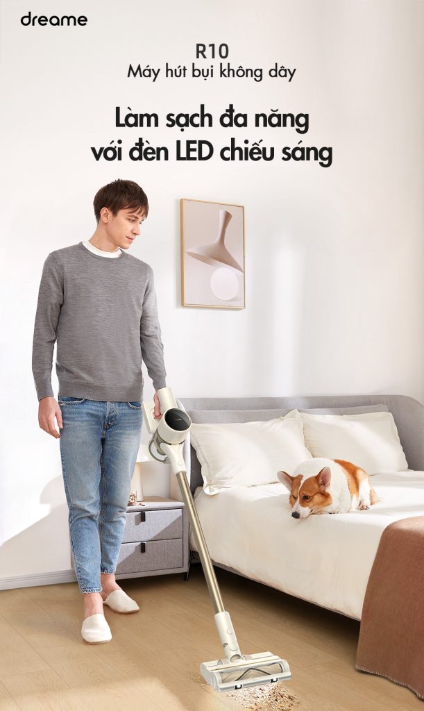 Den led Dreame R10