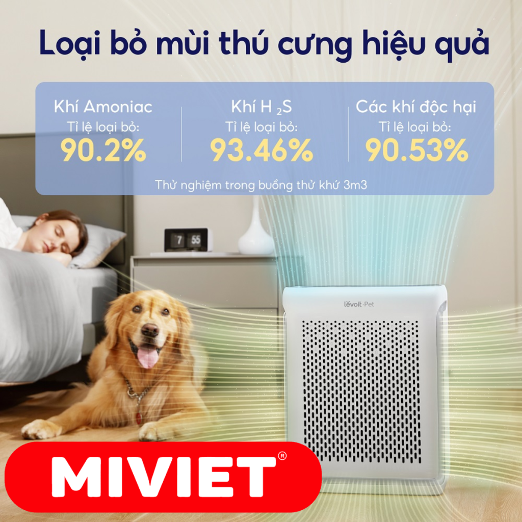Loại bỏ mùi thú cưng hiệu quả