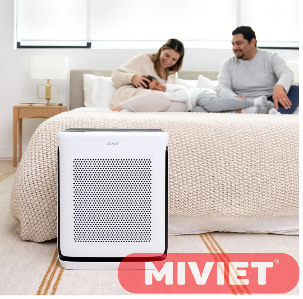 Levoit 200s với gia đình của bạn