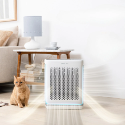 Máy lọc không khí Levoit Vital 200S - New 2023