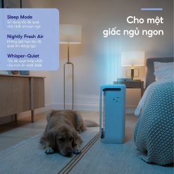 Máy lọc không khí Levoit Vital 200S - New 2023