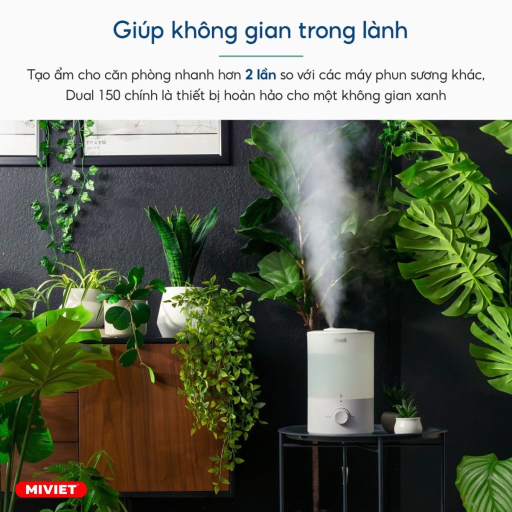 Máy phun sương Levoit Ultrasonic tạo ẩm tốt