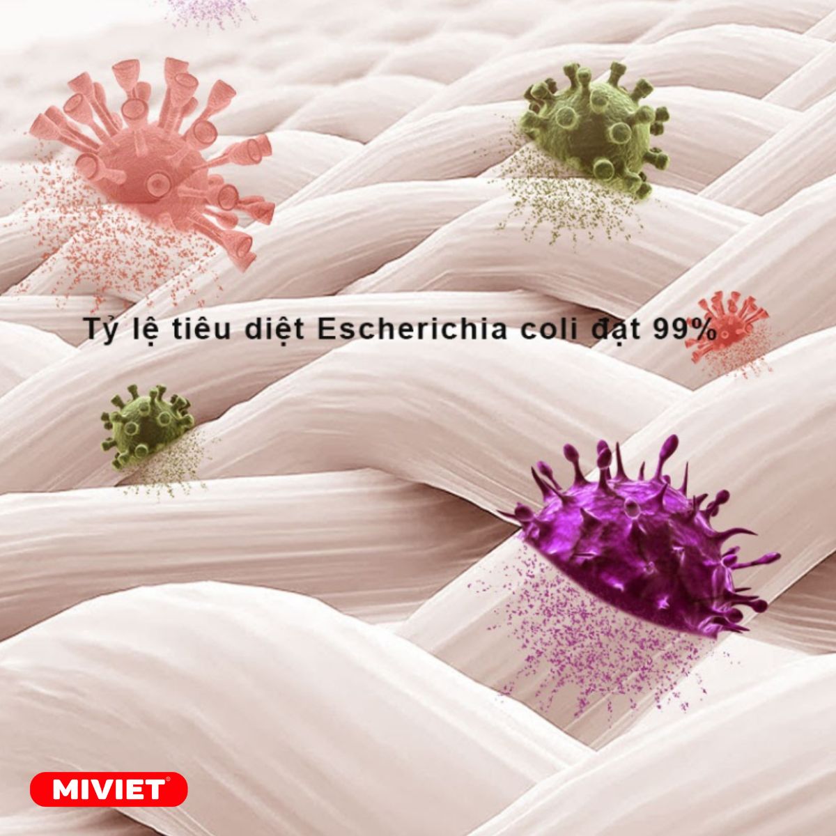 Máy Sấy Giày Lydsto XD-HXQ04 (bản thường) - BH 3 Tháng Diệt vi khuẩn bằng ozone