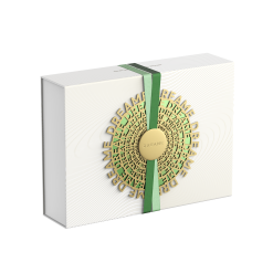 Máy sấy tóc tốc độ cao Dreame Hair Glory Master - Chính Hãng - New 2024 Máy sấy tóc tốc độ cao Dreame Hair Glory Master - Chính Hãng - New 2024