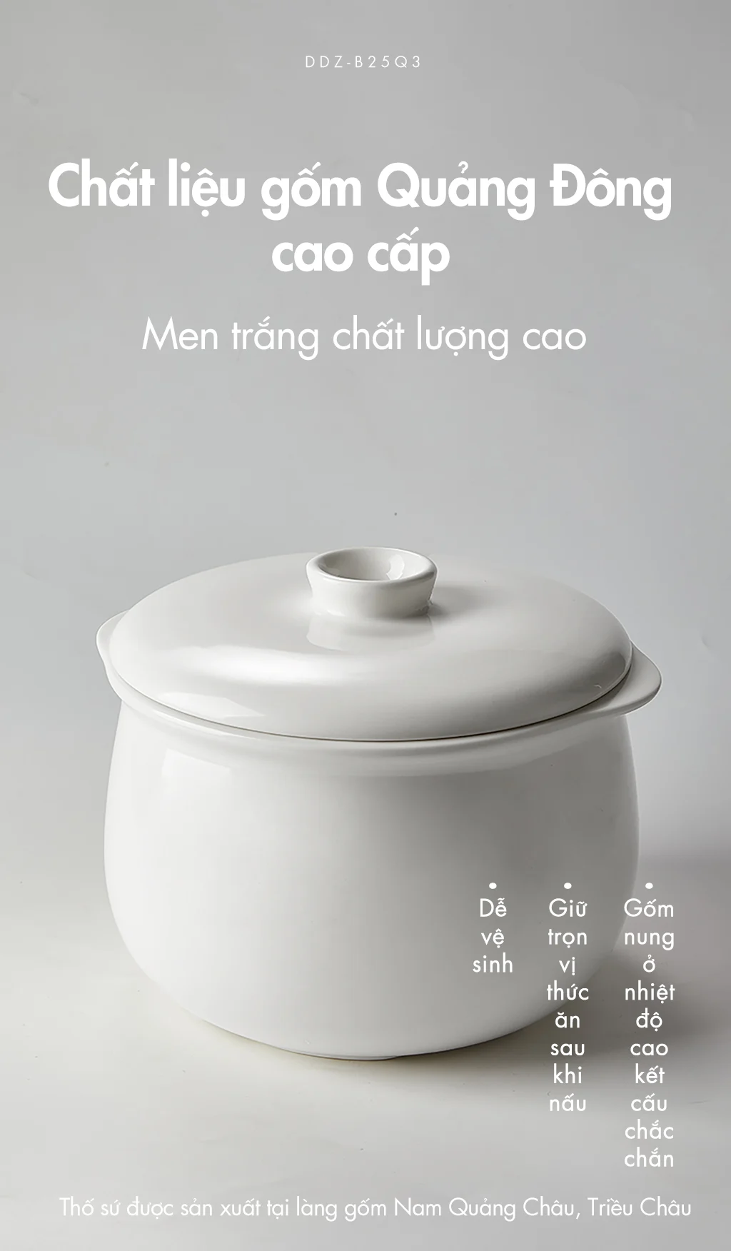 Nồi nấu chậm đa năng Bear DDZ-B25Q3 - Hàng chính hãng - Tiếng Anh/Việt - BH 18 tháng - Full Vat