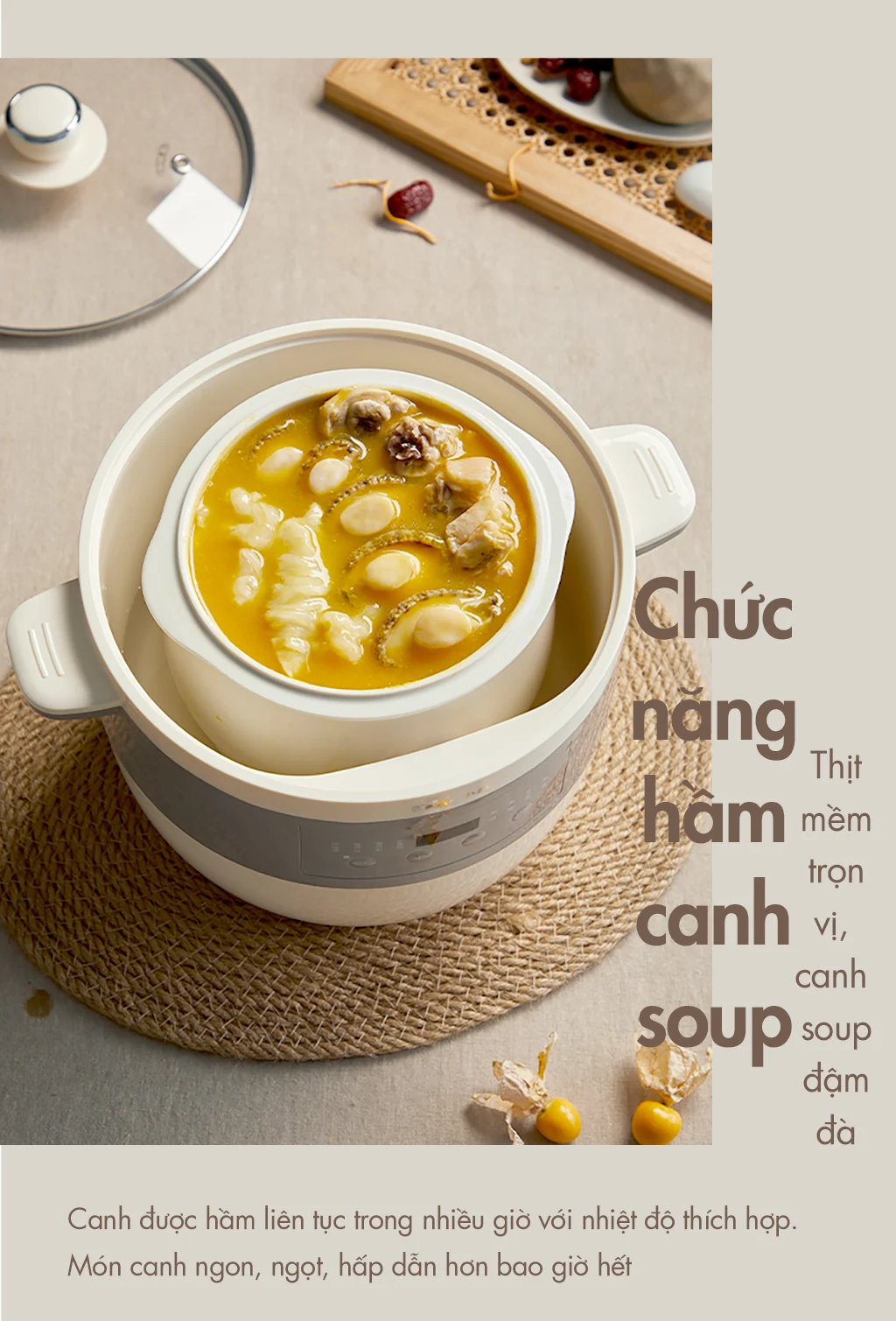 Nồi nấu chậm đa năng Bear DDZ-B25Q3 - Hàng chính hãng - Tiếng Anh/Việt - BH 18 tháng - Full Vat