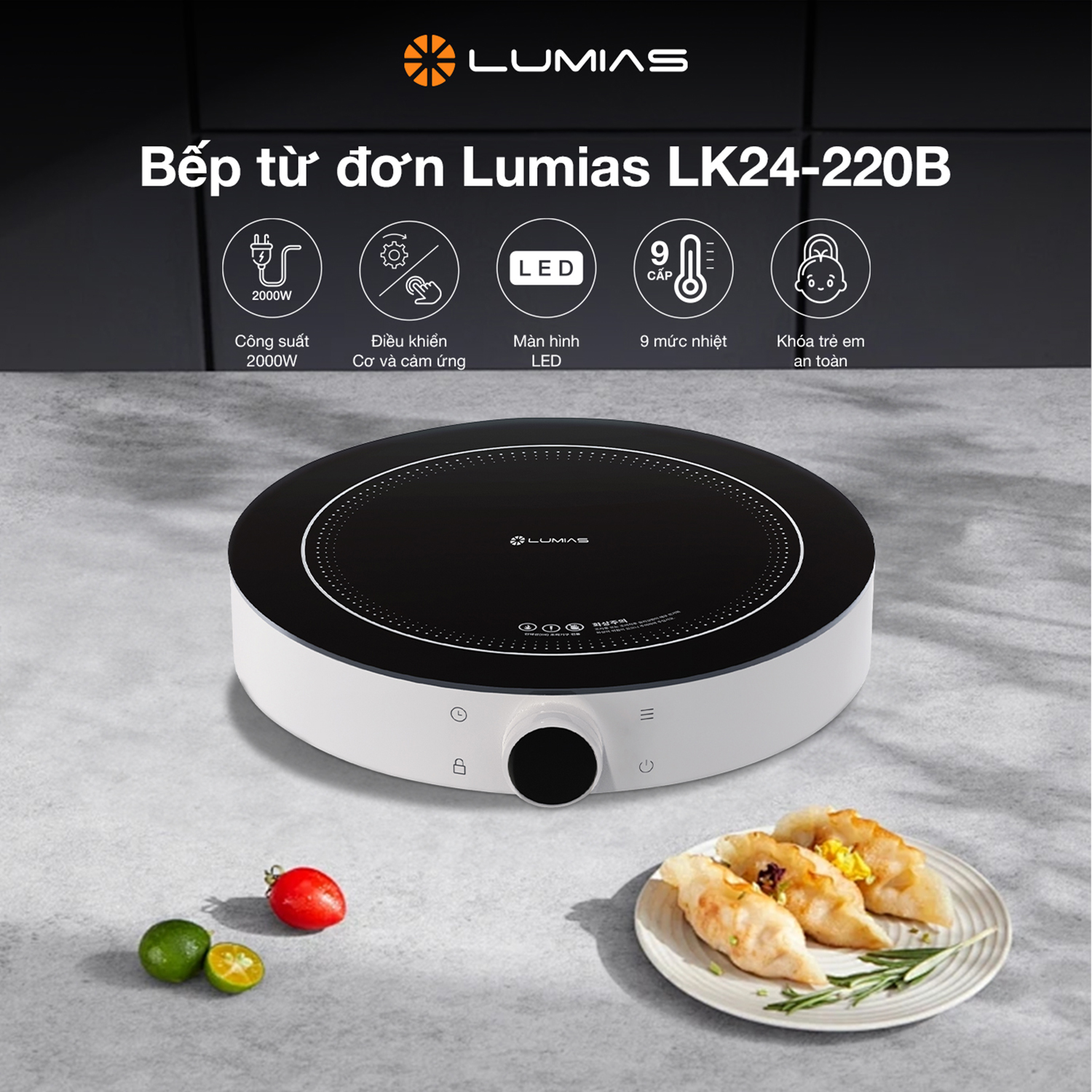 Bếp từ đơn LUMIAS LK24-220B