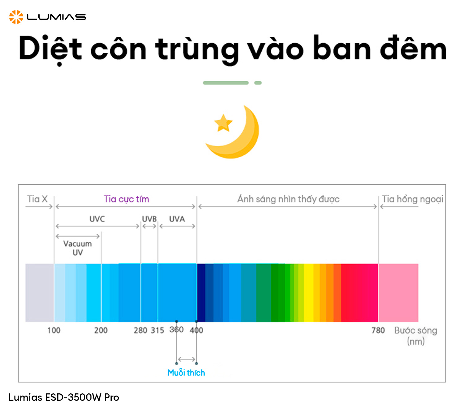 DIệt côn trùng vào ban đêm