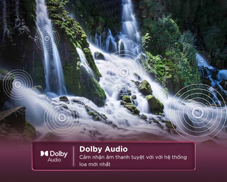 Tivi TCL LED 43 inch 43S5400A – Quốc Tế – Hàng Chính Hãng