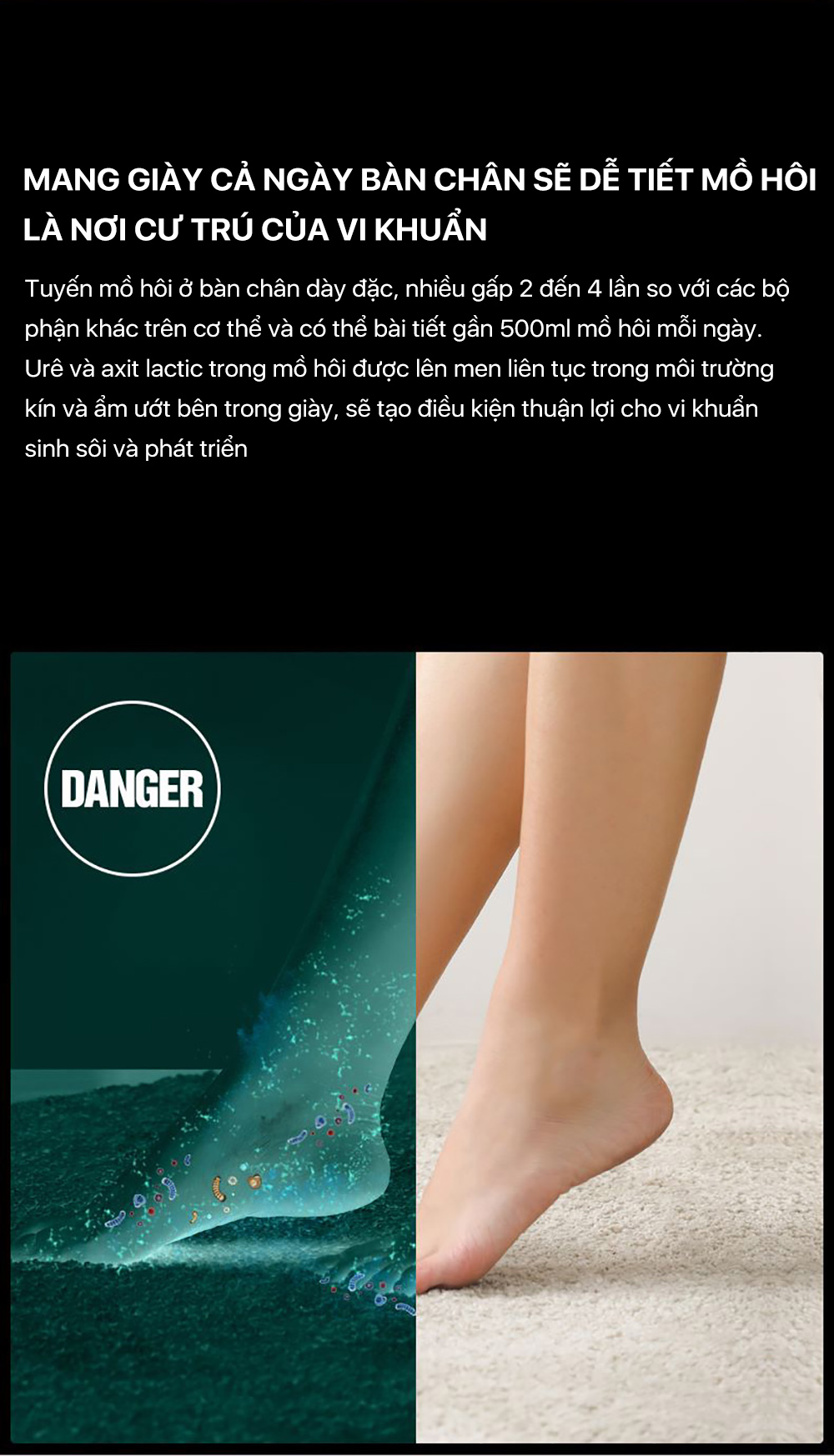 Máy sấy giày Deerma HX10