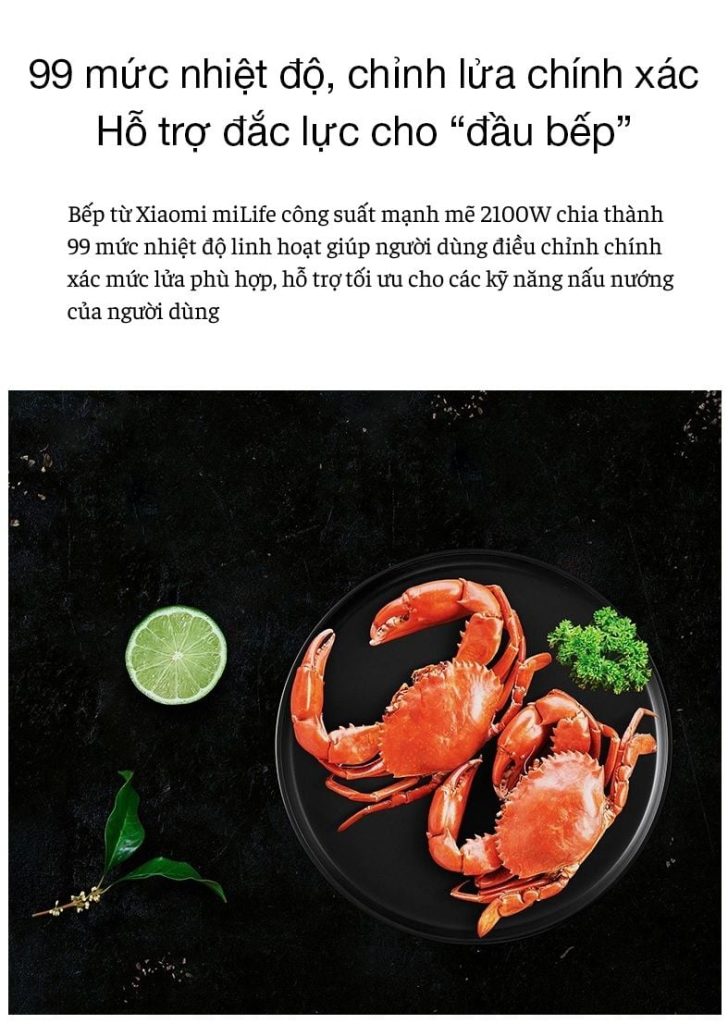 Bếp từ tròn miLife LFT011 99 mức nhiệt độ
