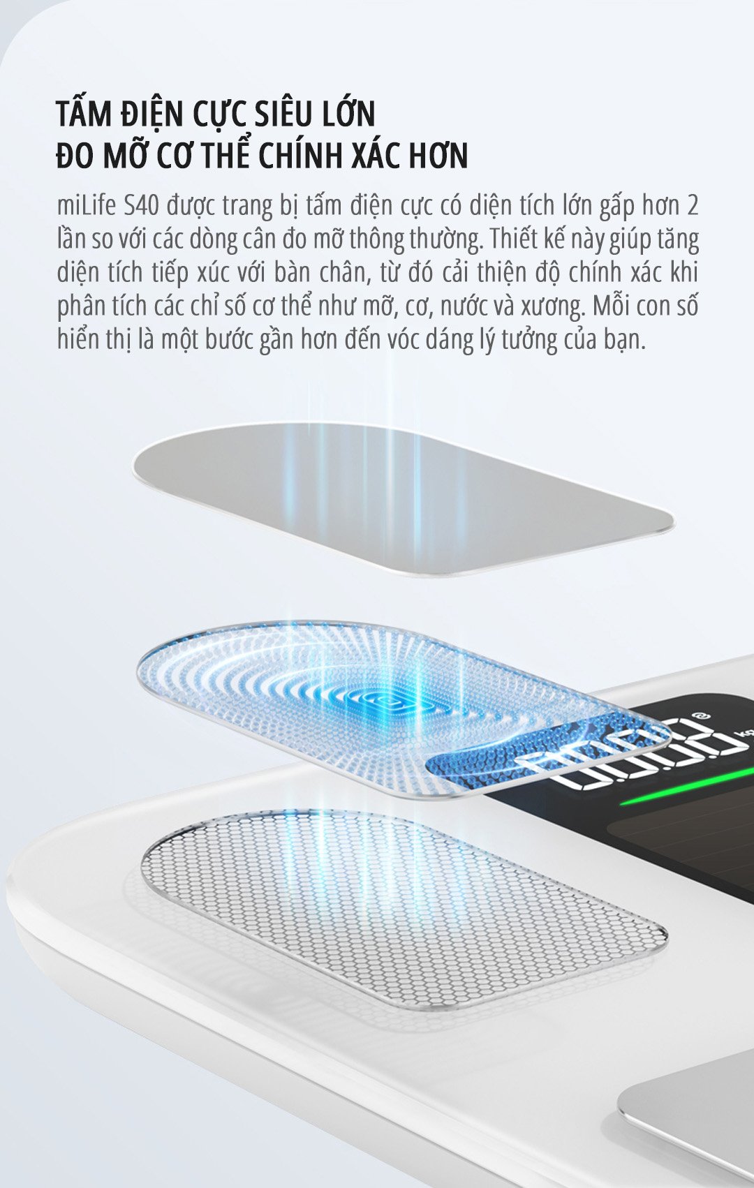 Cân body fat thông minh miLife S40 tấm điện cực