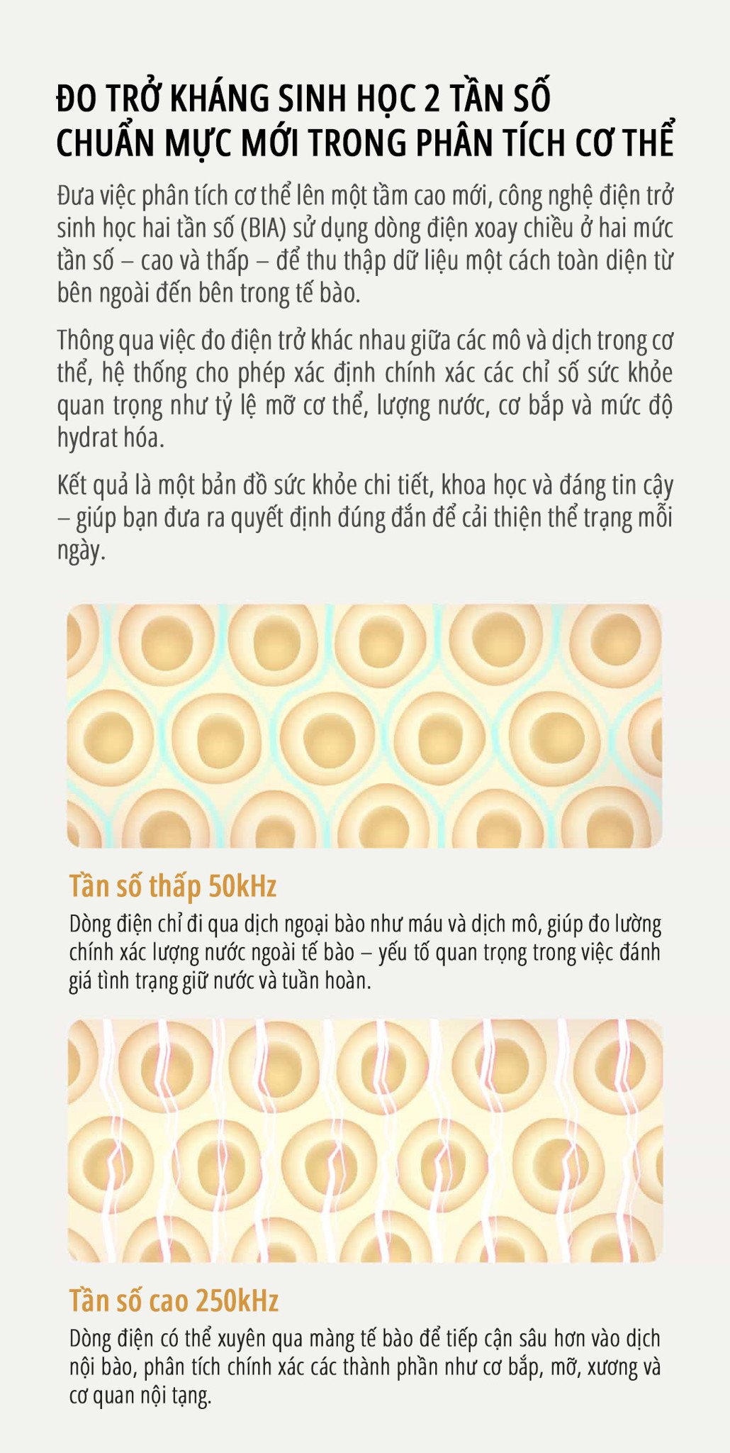 Cân body fat thông minh miLife S40 đo kháng sinh