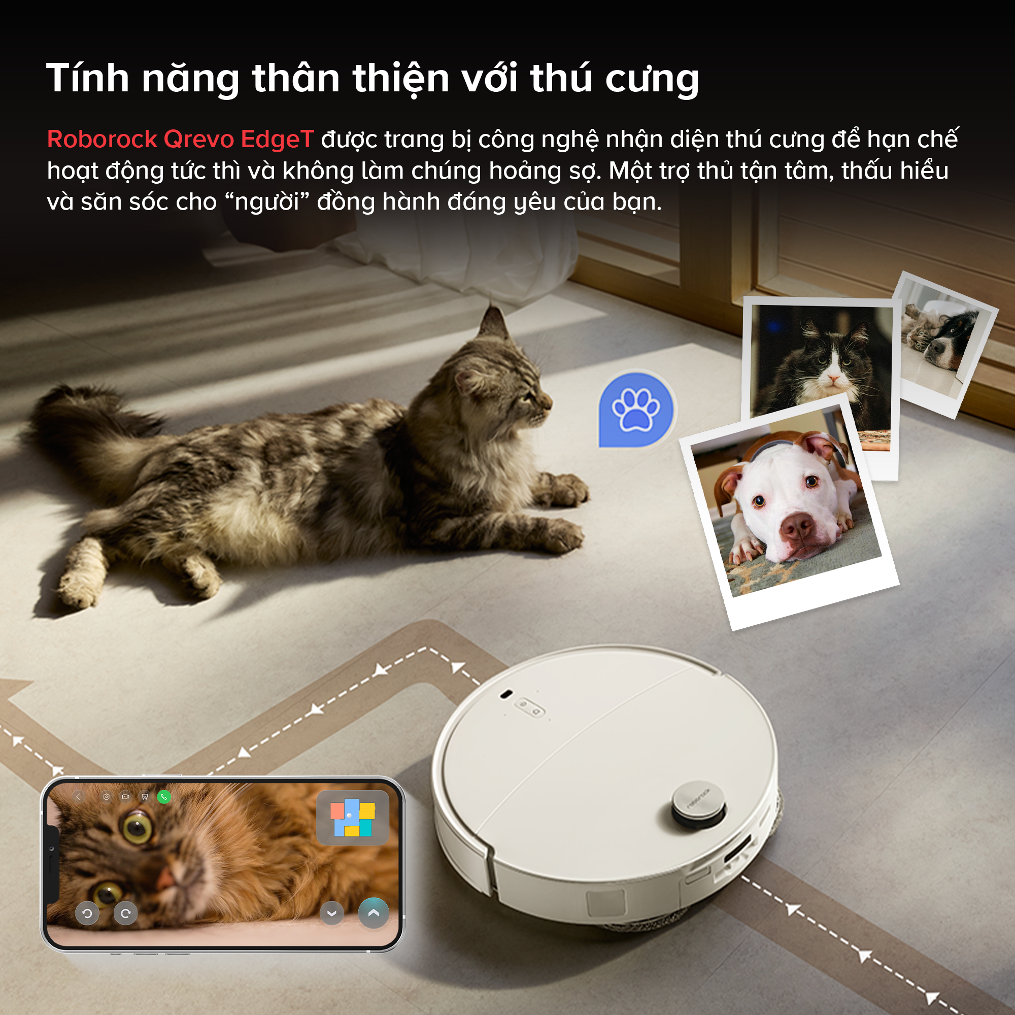 Roborock Q Revo EdgeT thân thiện với thú cưng
